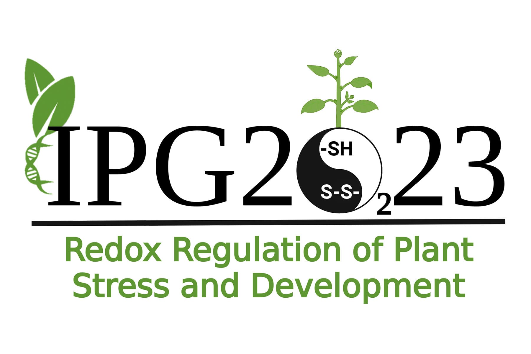 2023 Top Ipg Logo