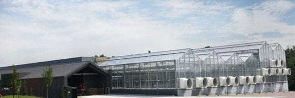 Featured Image for: Plant Growth Facilities