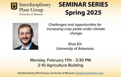 Elvis Elli, University of Arkansas