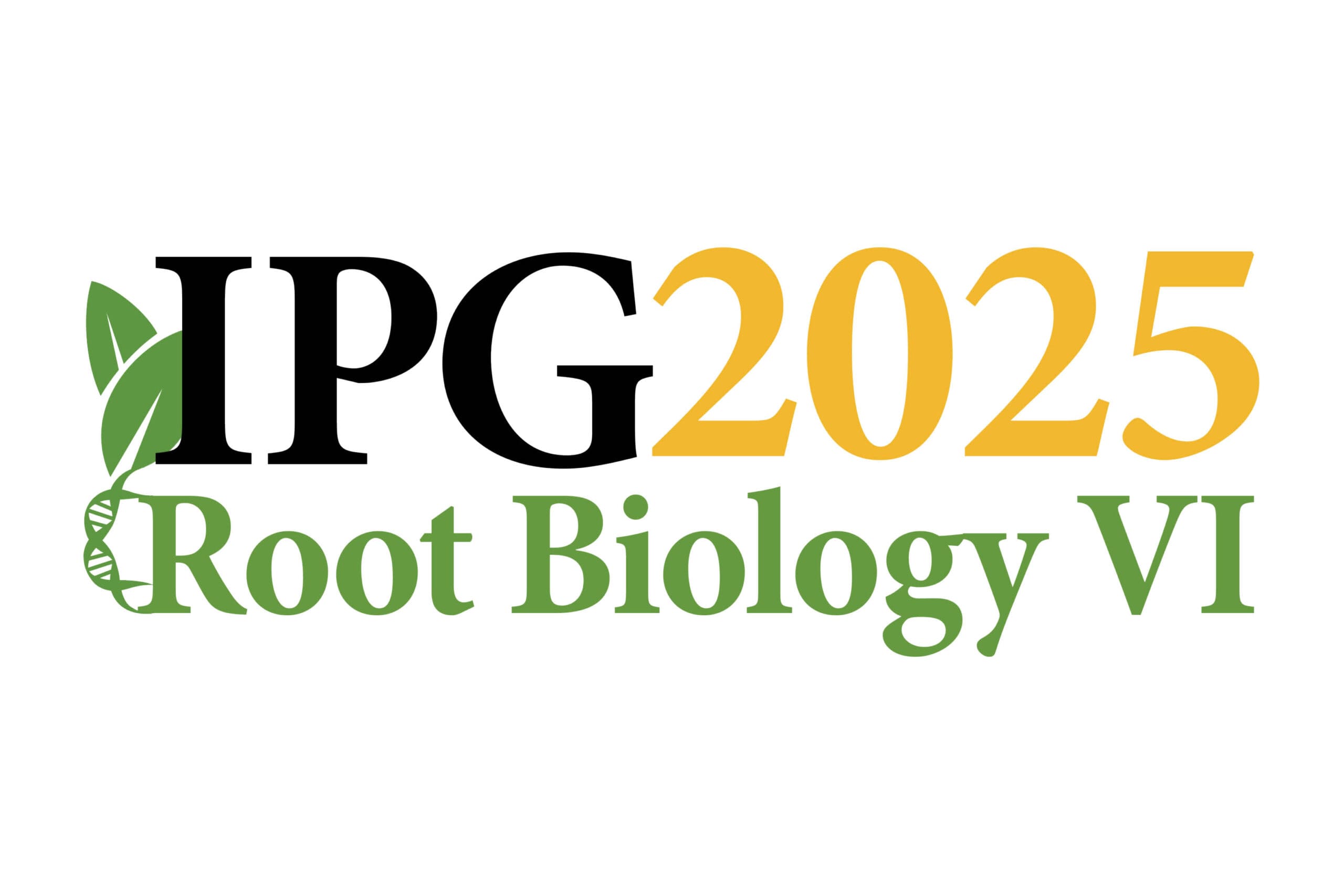 2025 Symposium Logo