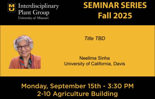 IPG Seminar – Dr. Neelima Sinha