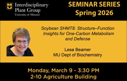 IPG Seminar – Lesa Beamer