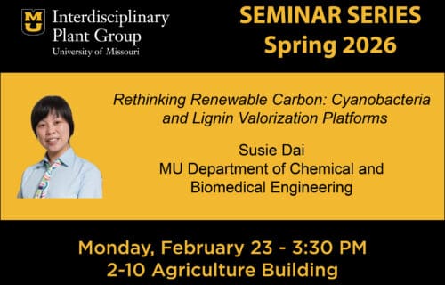 IPG Seminar – Susie Dai