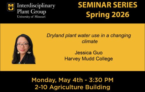 IPG Seminar – Jessica Guo