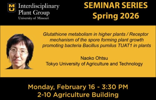 IPG Seminar – Naoko Ohtsu